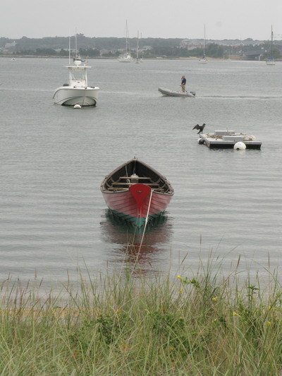 Harbor Business