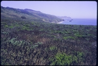 Coast_19970801
