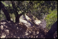ElDiabloG_19970727