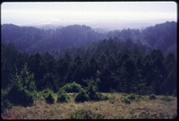 PtReyes_19970801