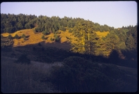 SkyCamp_19970801