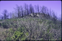 SkyTrailB_19970801