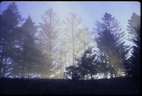 SkyTrailDawn_19980802