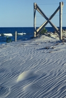 Assateague