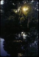 Island_19970701