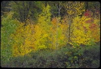 MtBeacon_19991017