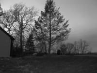 IMG_0208