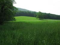 IMG_0795