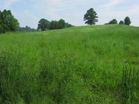 IMG_0693