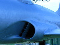 IMG_4297