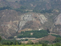 IMG_4305