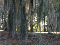 IMG_2646