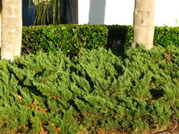 IMG_2710