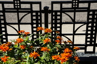 DSC01018
