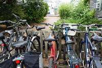 DSC00474