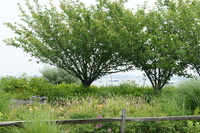 DSC00492