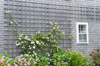 DSC00495
