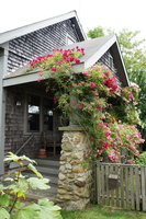 DSC00505