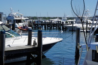 DSC00691