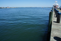 DSC00699