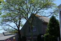 DSC00711
