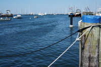 DSC00759