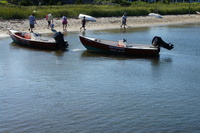 DSC00803