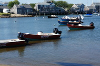 DSC00805