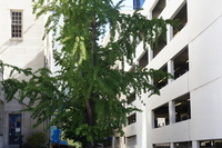 DSC01252