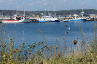 DSC01226