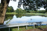 DSC01151