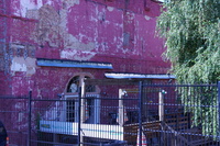 DSC02519