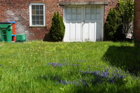 DSC01897