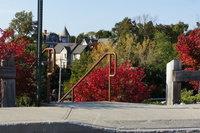 DSC02787