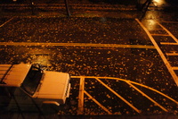 DSC02860