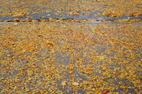DSC02863