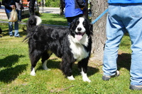 DSC01738