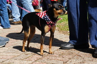 DSC01746