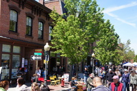 DSC01890