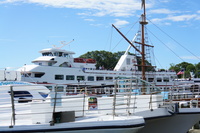 DSC02209