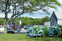 DSC02212