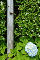 DSC02221