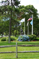 DSC02261