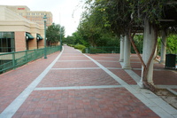 DSC01929