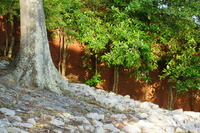 DSC01948