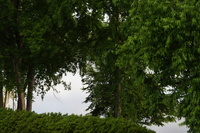 DSC01981