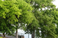 DSC01990