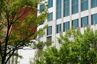 DSC03241