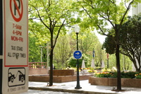 DSC03243