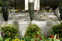 DSC03245